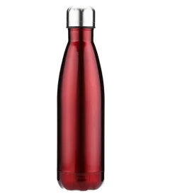 Double Wall Insulated Bottle