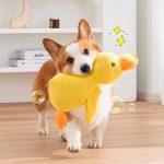 Buy Indestructible Dog Chew Toys - Image 2