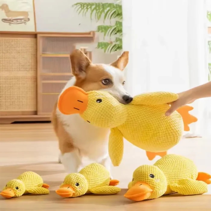 Buy Indestructible Dog Chew Toys - Image 4