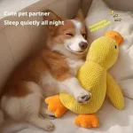 Buy Indestructible Dog Chew Toys
