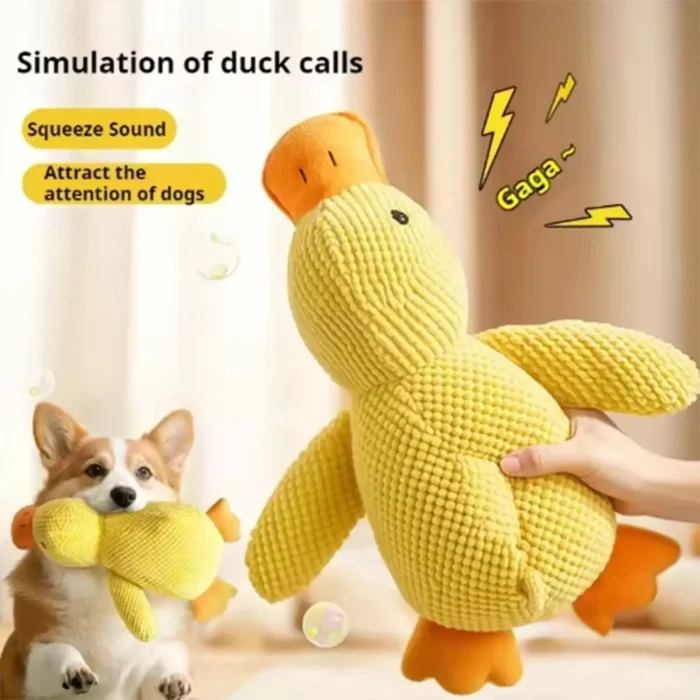 Buy Indestructible Dog Chew Toys - Image 3
