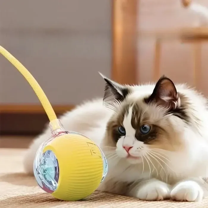 Buy Automatic Rolling Ball Pet Toy - Image 3